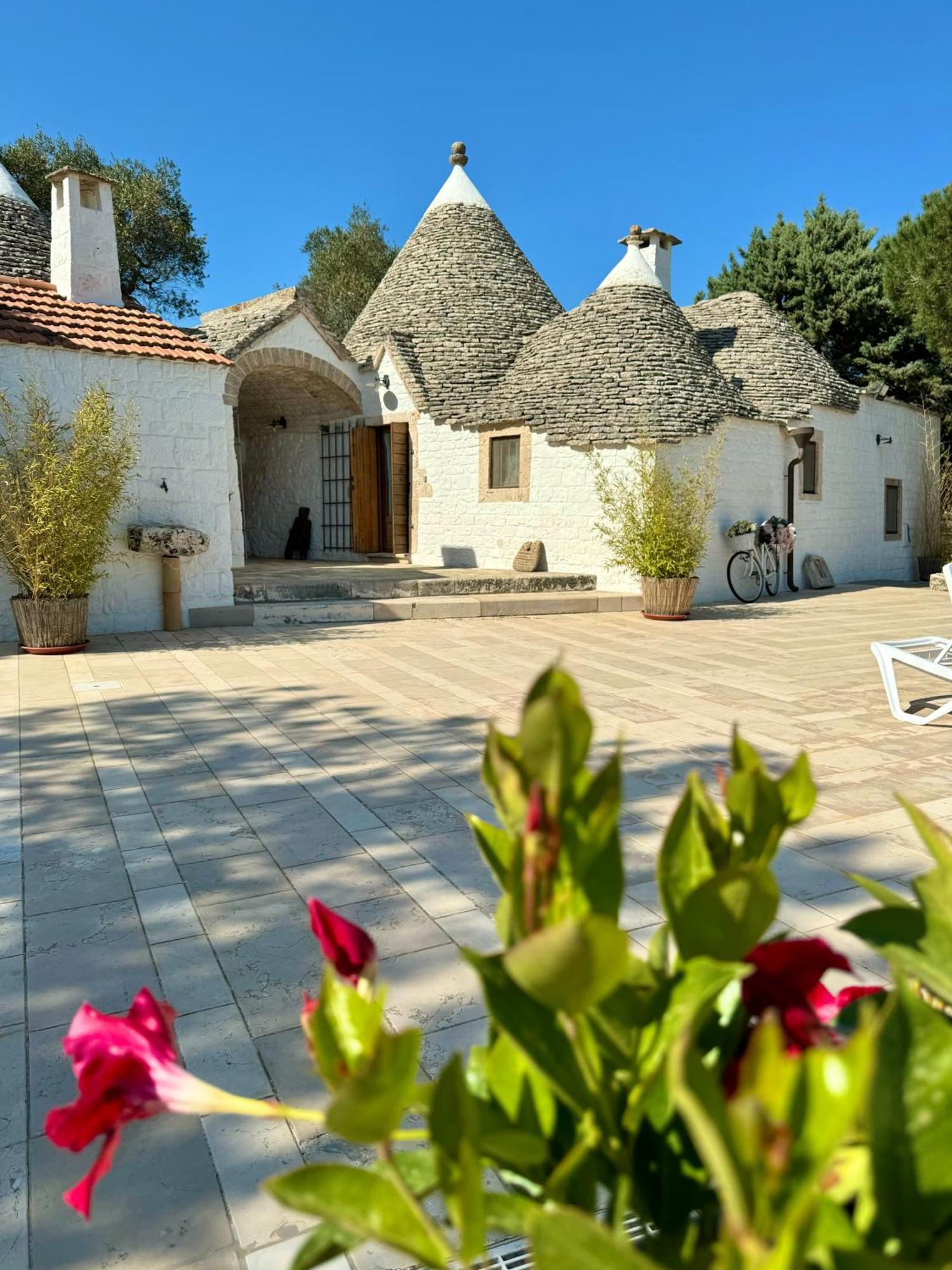 알베르벨로 Trulli Bosco Selva 아파트 외부 사진